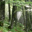 2012-07-03 18.18.15 WAUW